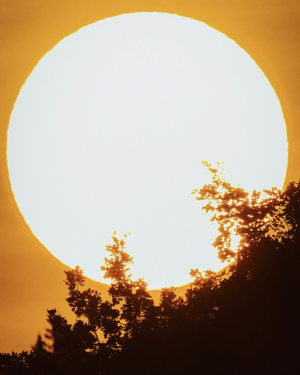 the sun is setting behind some trees