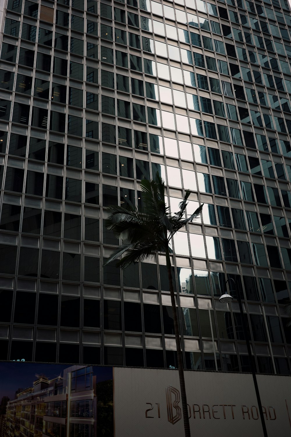 a tall building with a palm tree in front of it