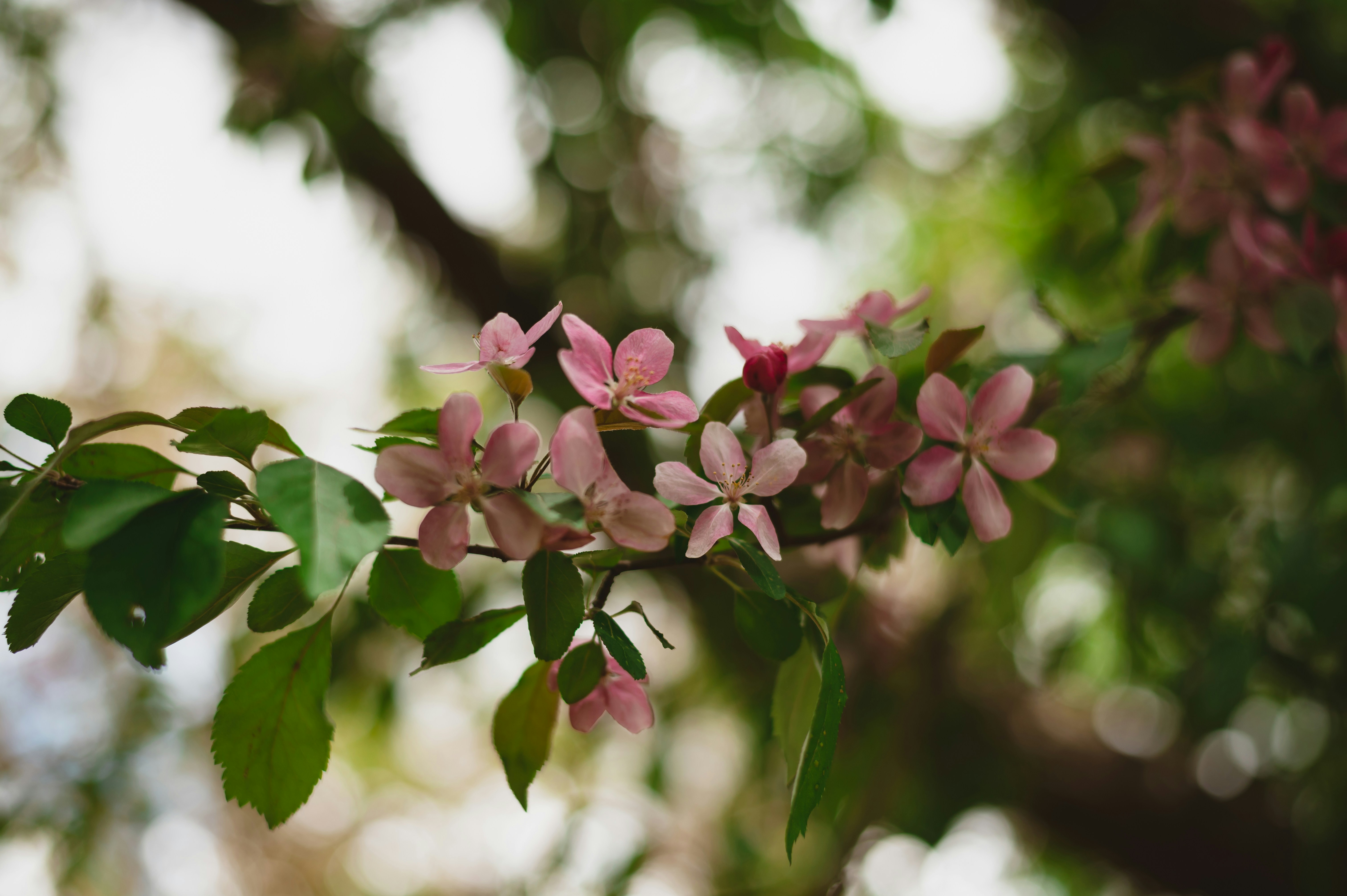 Photo by coltonsturgeon