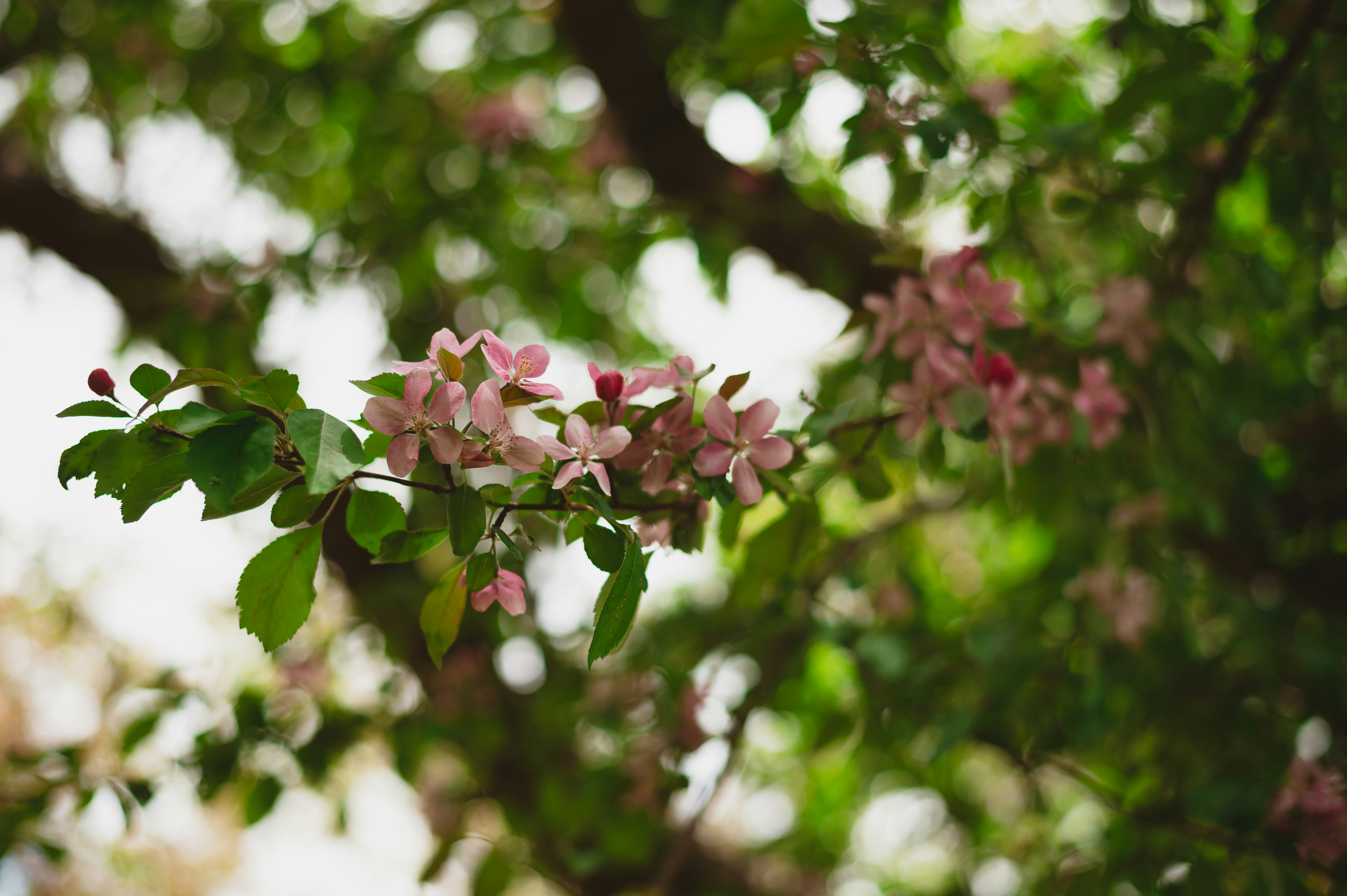 Photo by coltonsturgeon