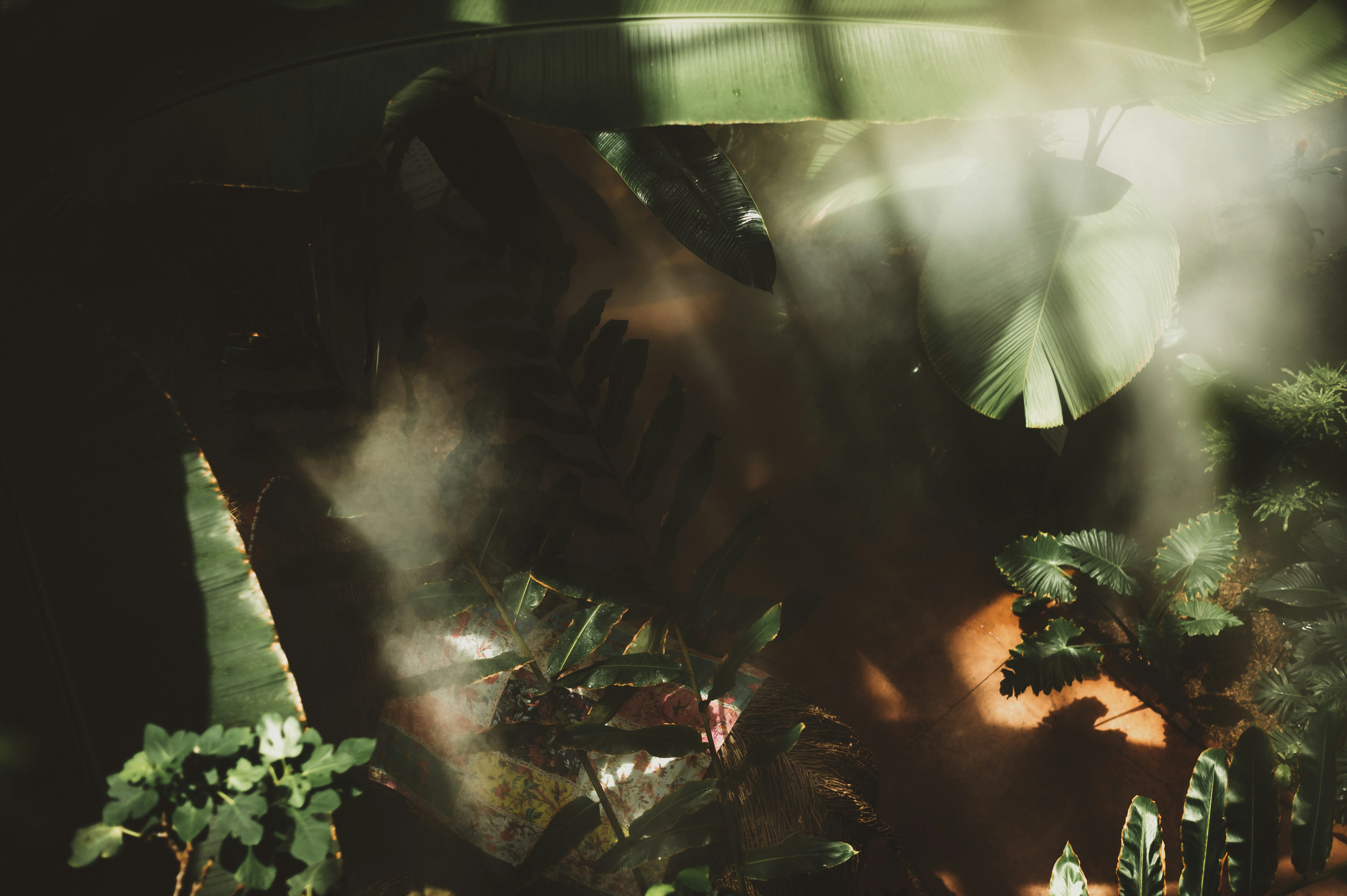 Photo by coltonsturgeon