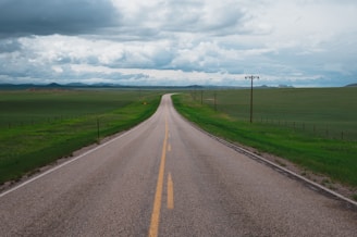 A long, straight road stretches into the distance through expansive green fields under a cloudy sky. Telephone poles line the road, and mountains are visible on the horizon.