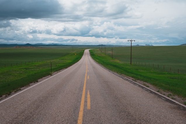 A long, straight road stretches into the distance through expansive green fields under a cloudy sky. Telephone poles line the road, and mountains are visible on the horizon.