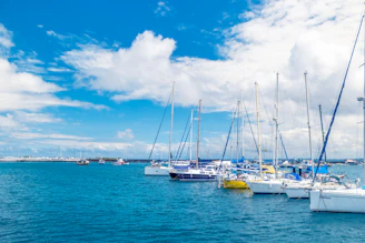 Sailing club members preparing boats at the marina during a sunny day.