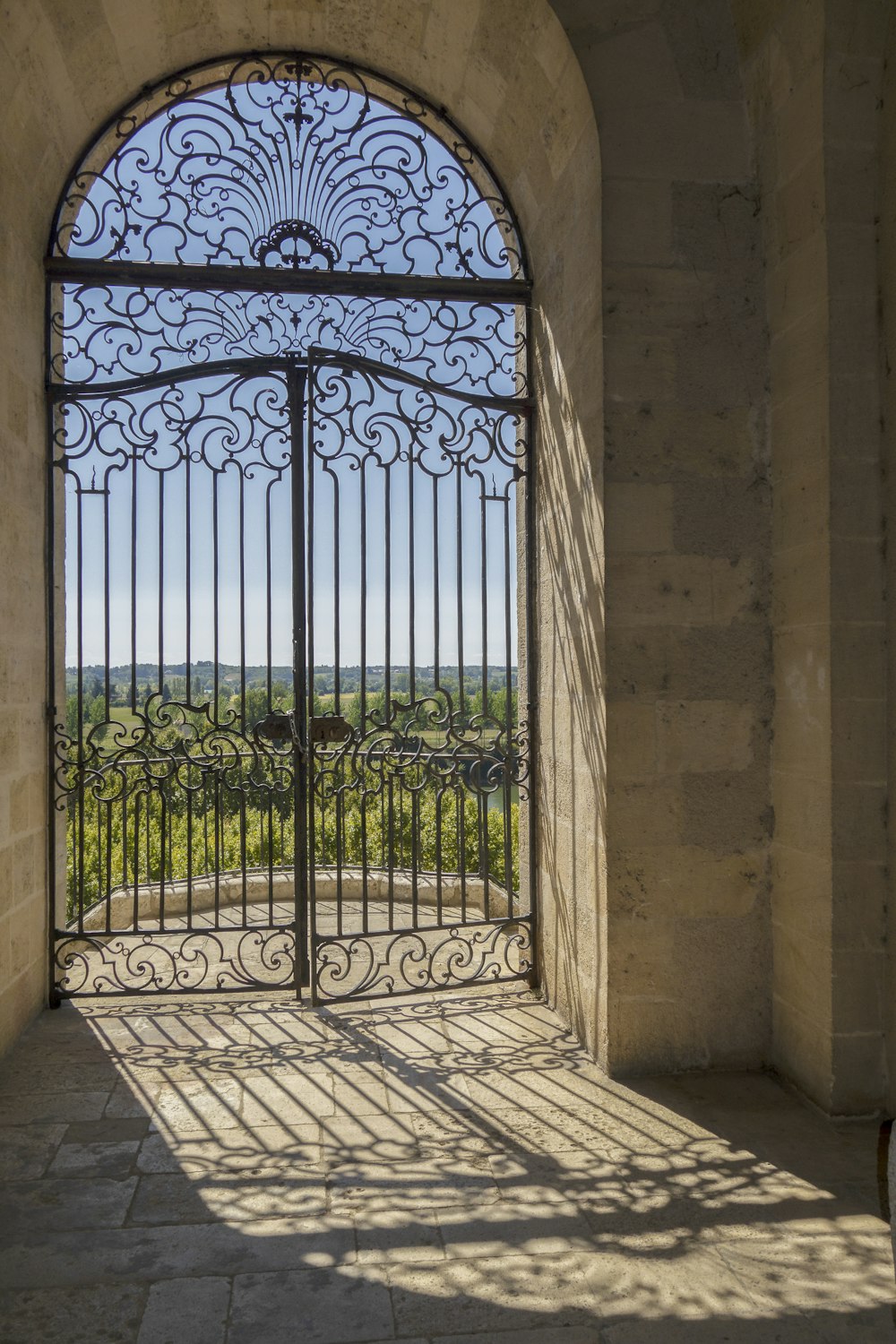 a gate with a view of a vineyard through it