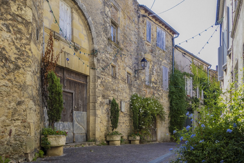 a cobblestone street lined with potted plants