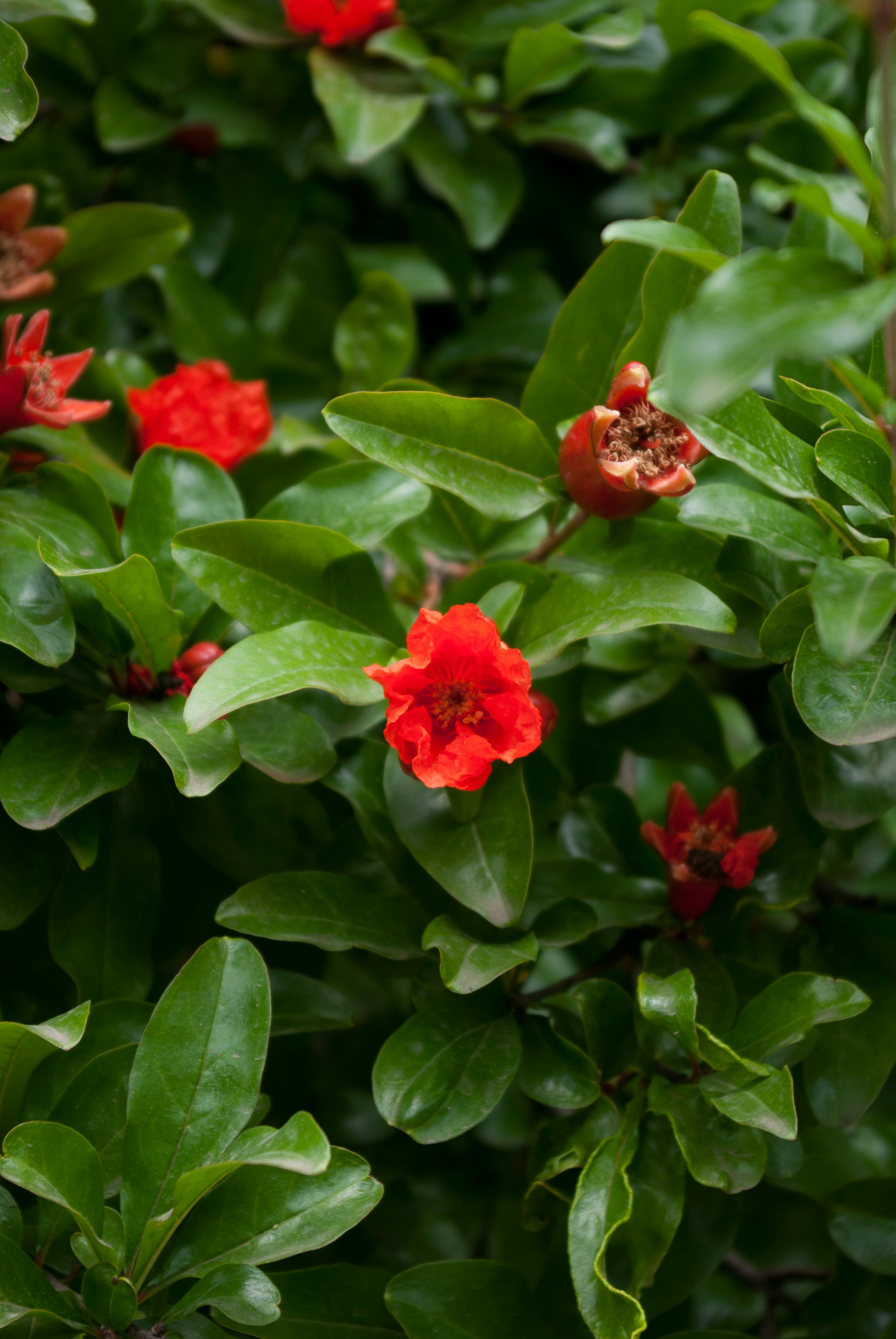 Photo by moonmoons_days