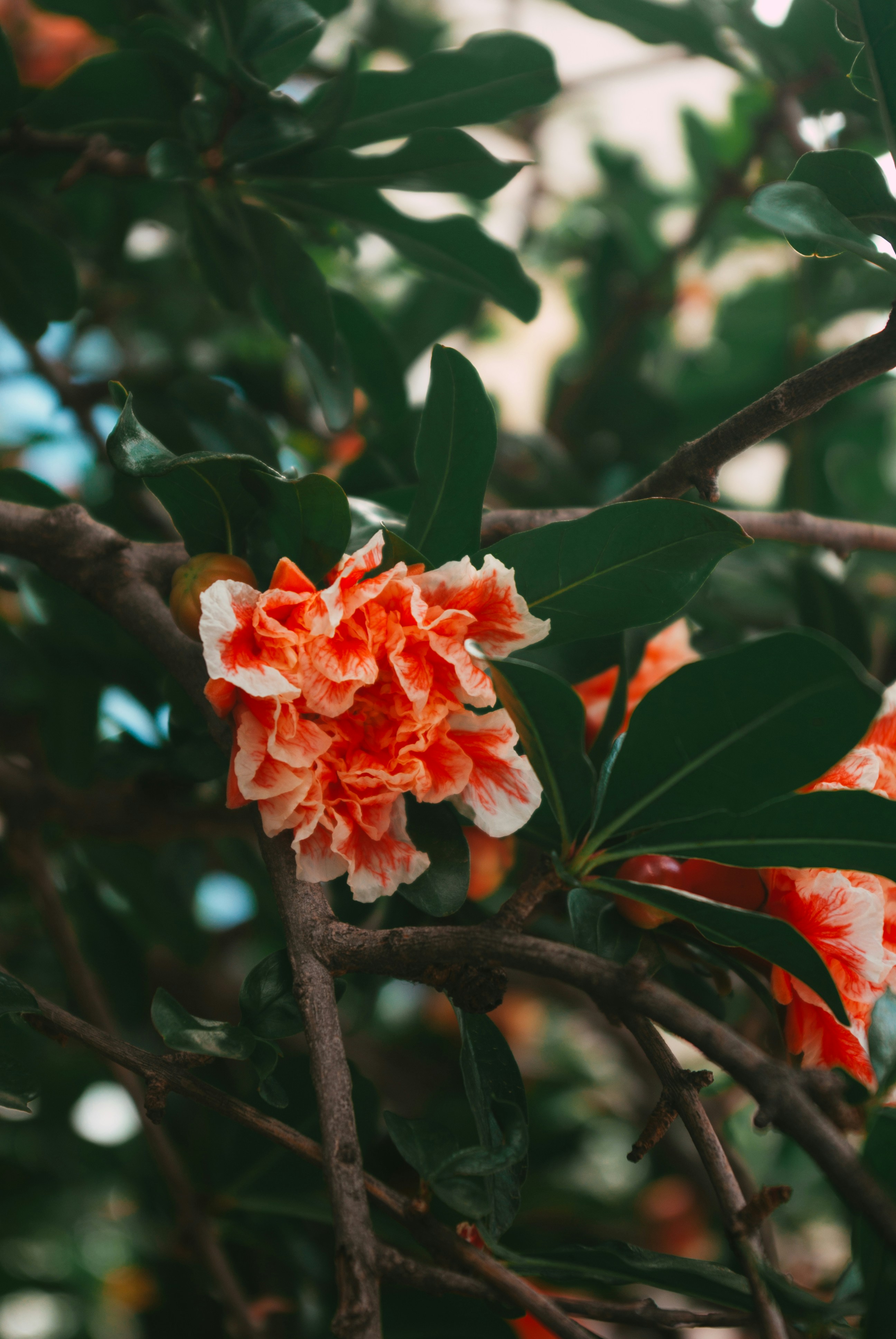 Photo by moonmoons_days