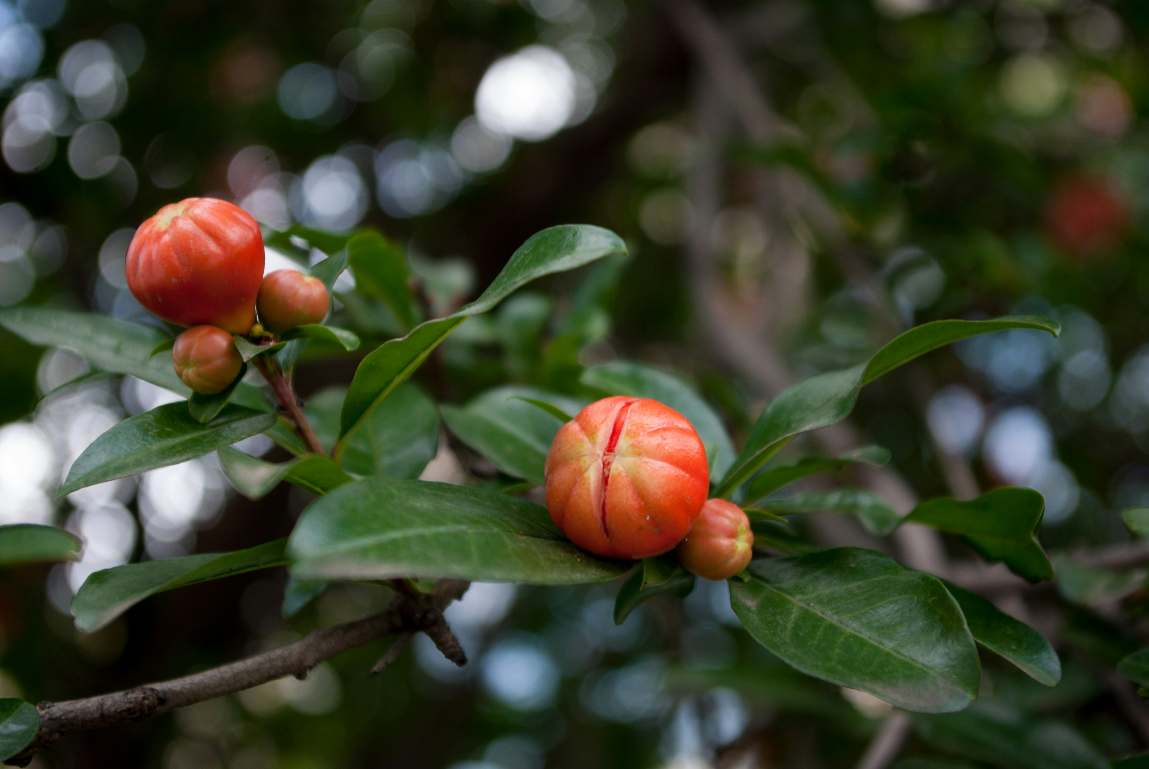 Photo by moonmoons_days