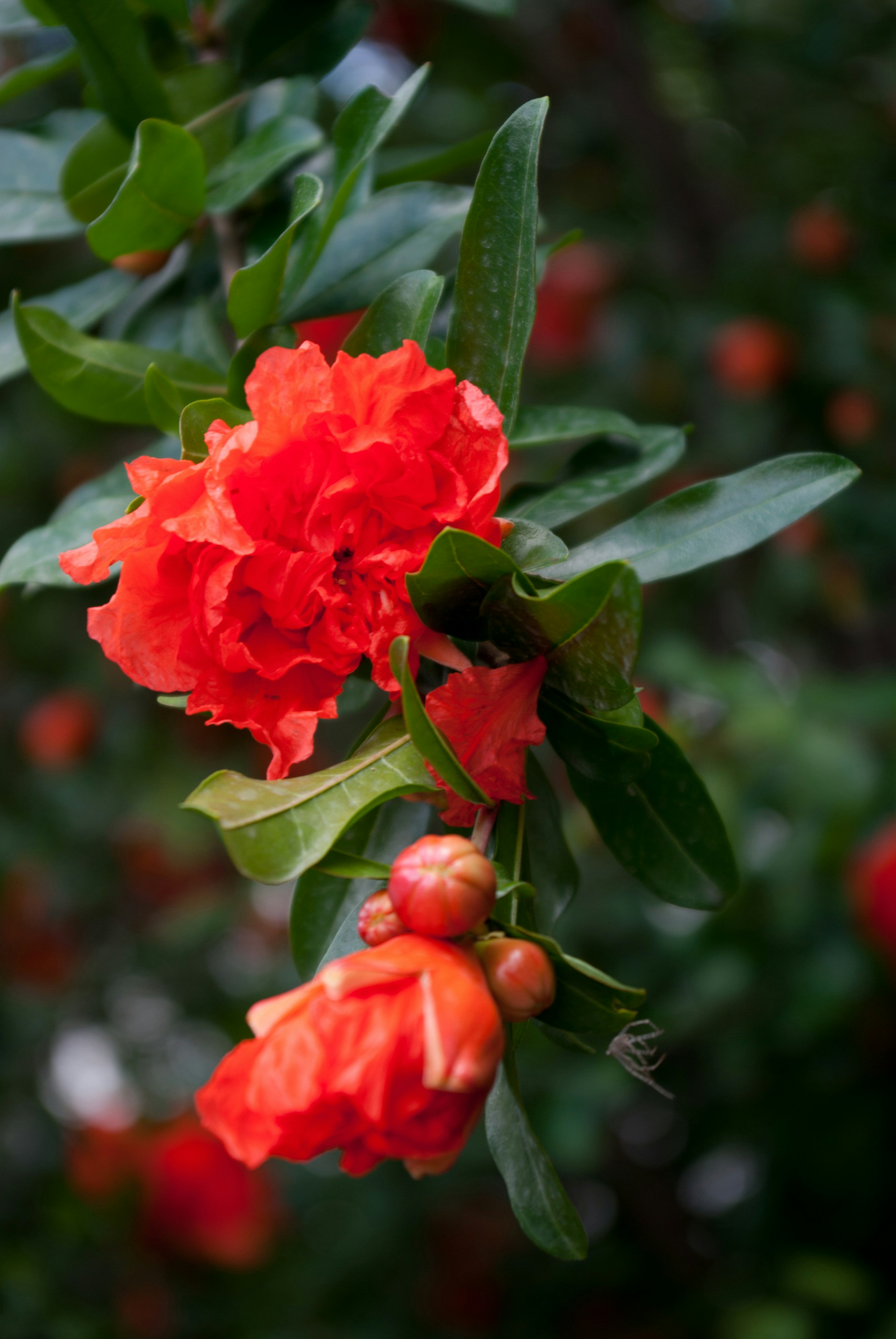 Photo by moonmoons_days