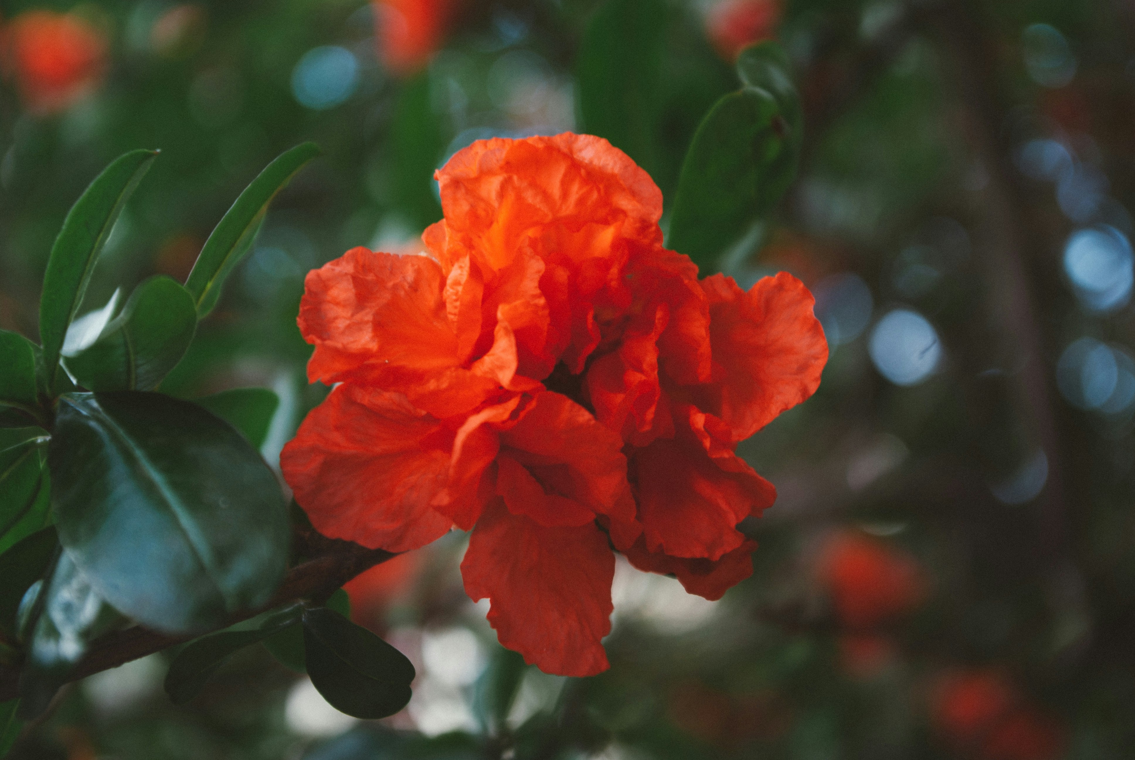 Photo by moonmoons_days