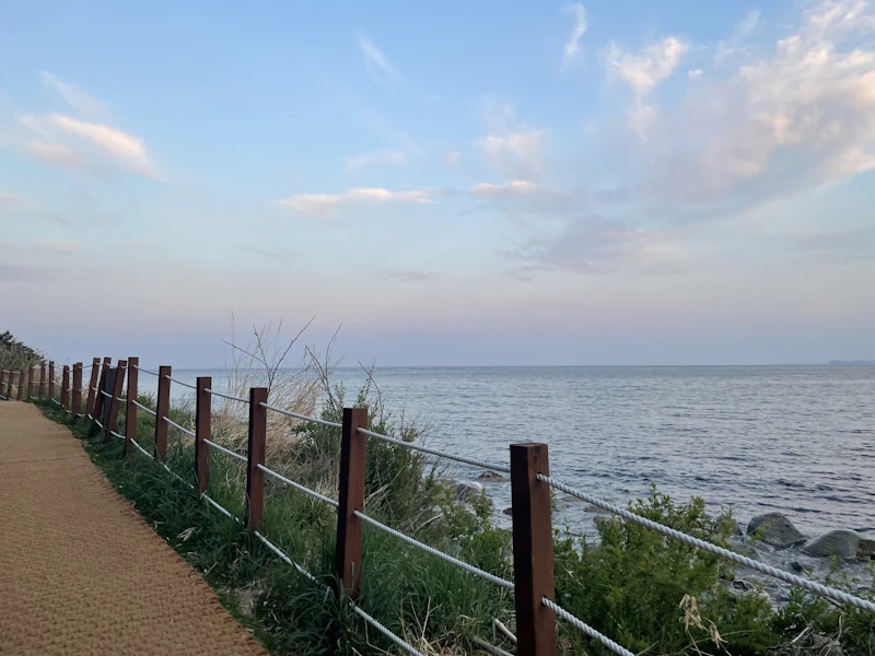Scenic coastal walking path along Korea east coast beach with turquoise waters and pine trees in Gangneung