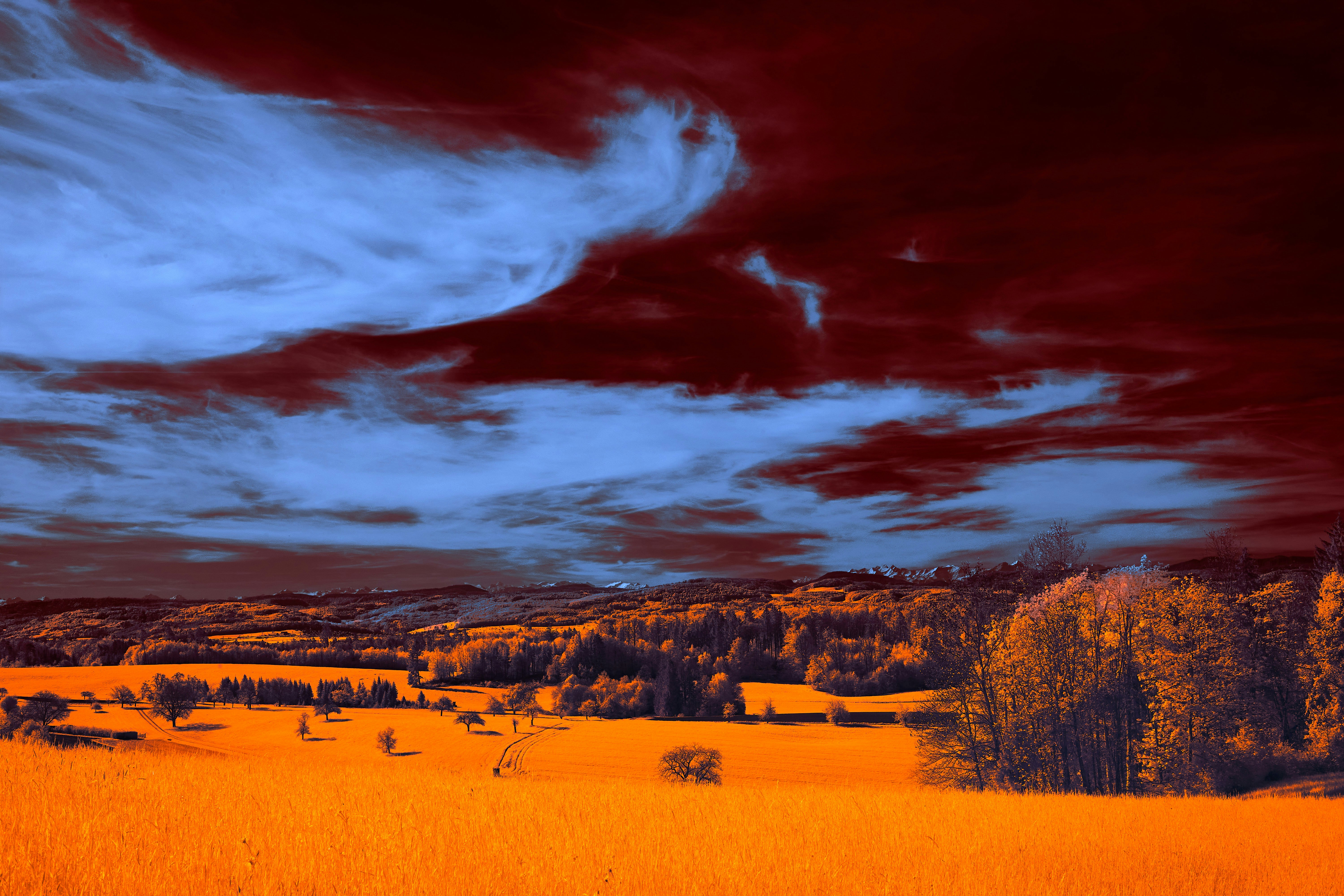 Photo by wolfgang_hasselmann