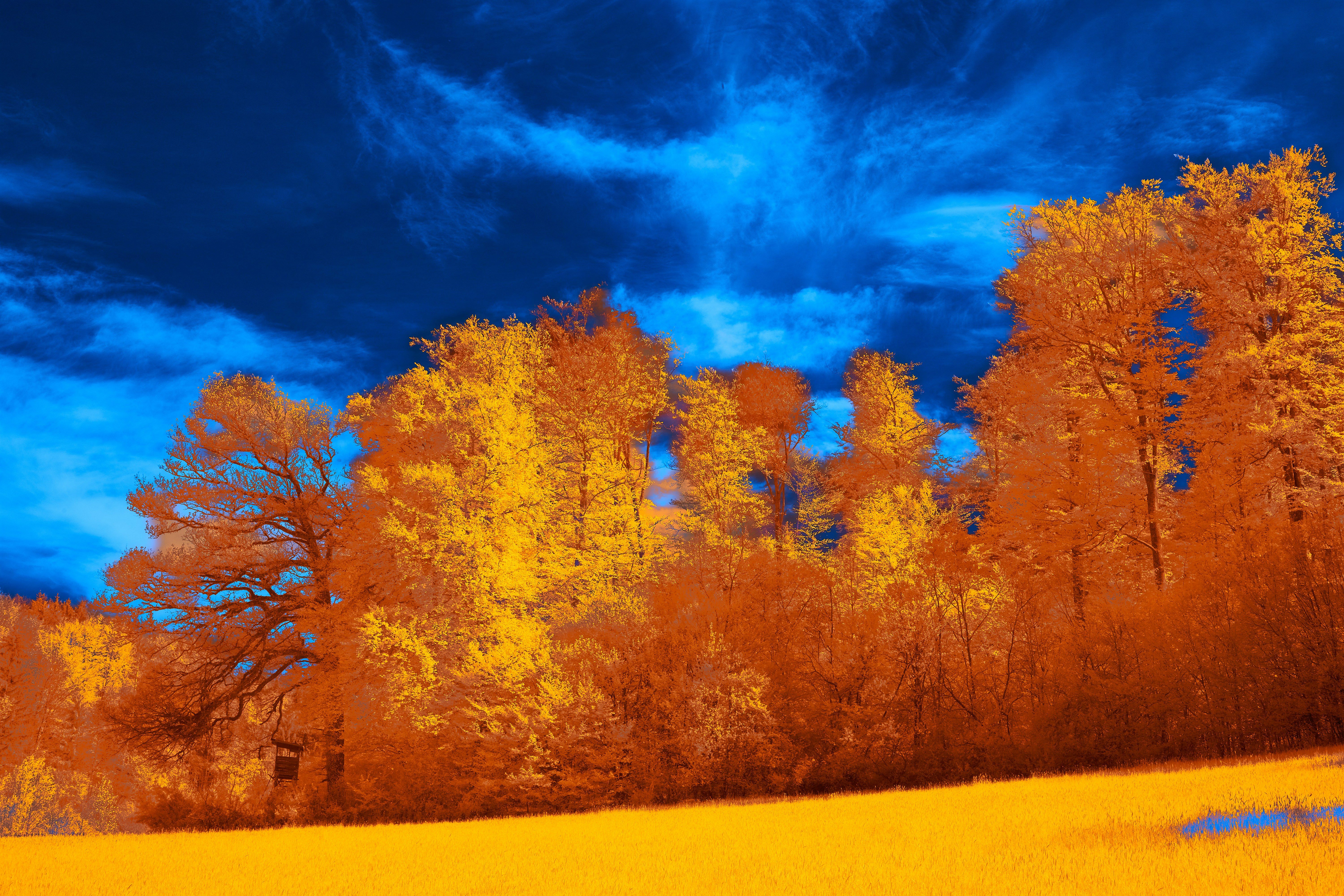 Photo by wolfgang_hasselmann