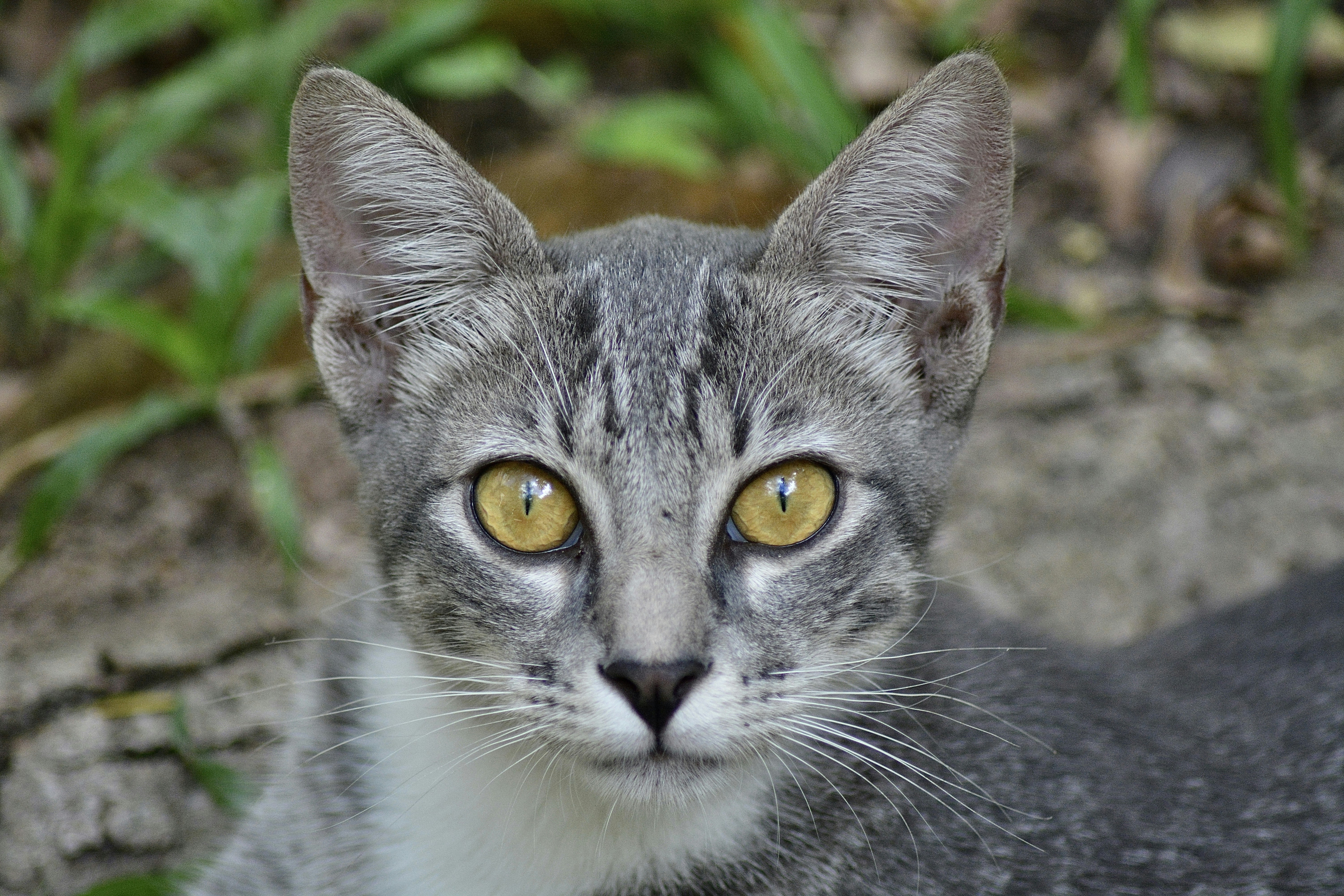 Photo by iurialbuquerque