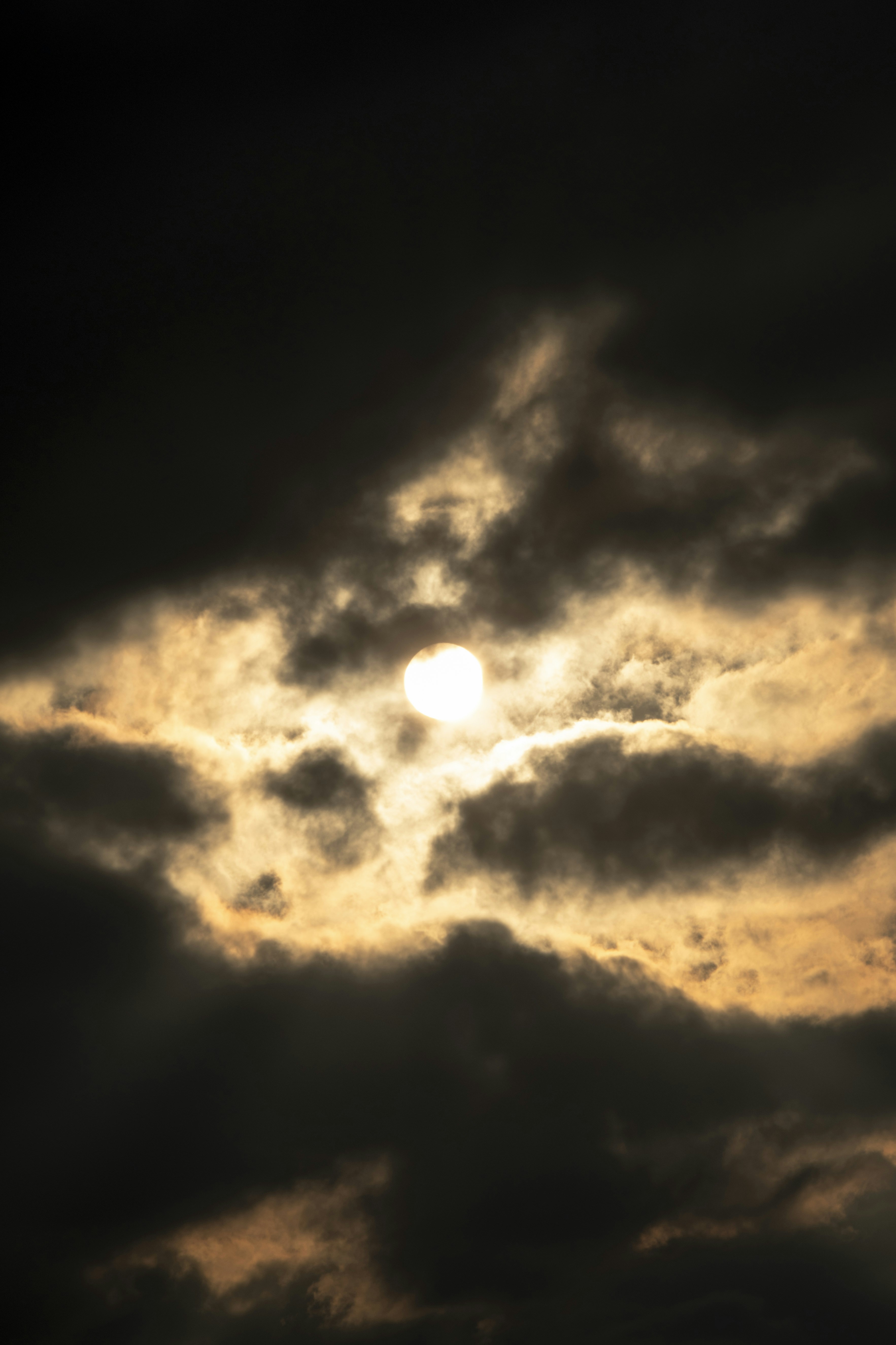 Photo by s_ahmadreza_p