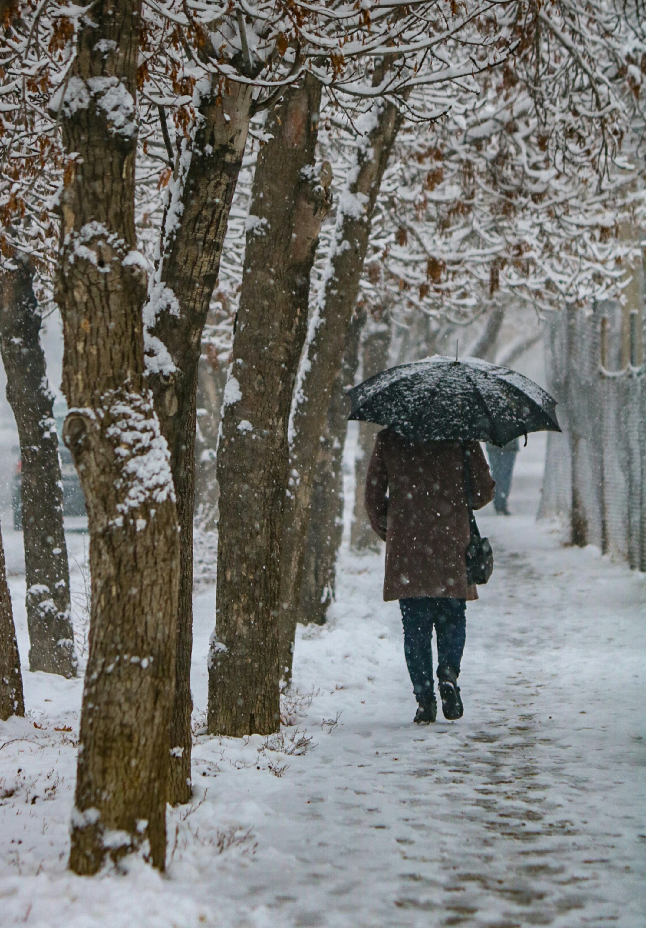 Photo by benyaminshamis