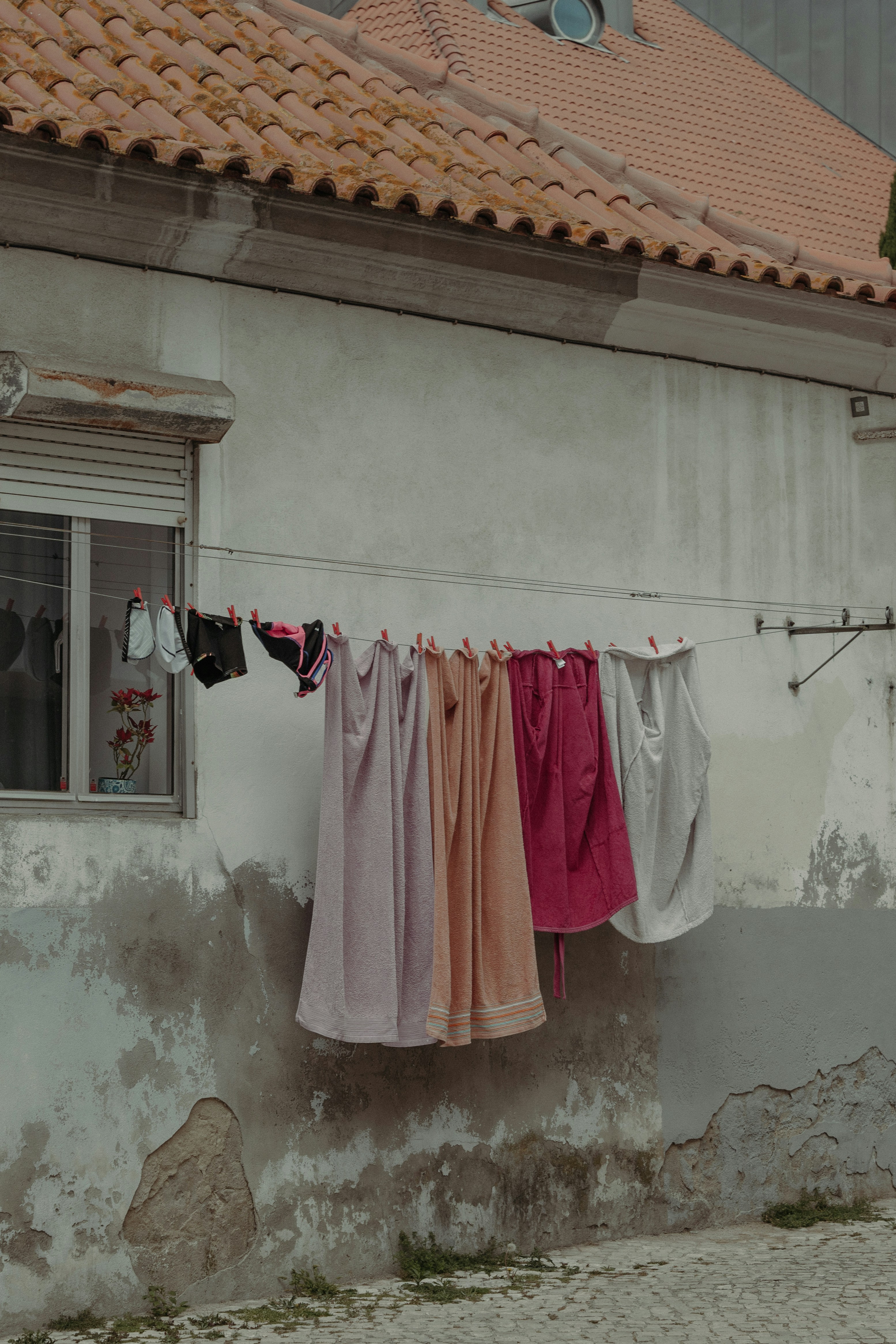 Photo by masoodaslami