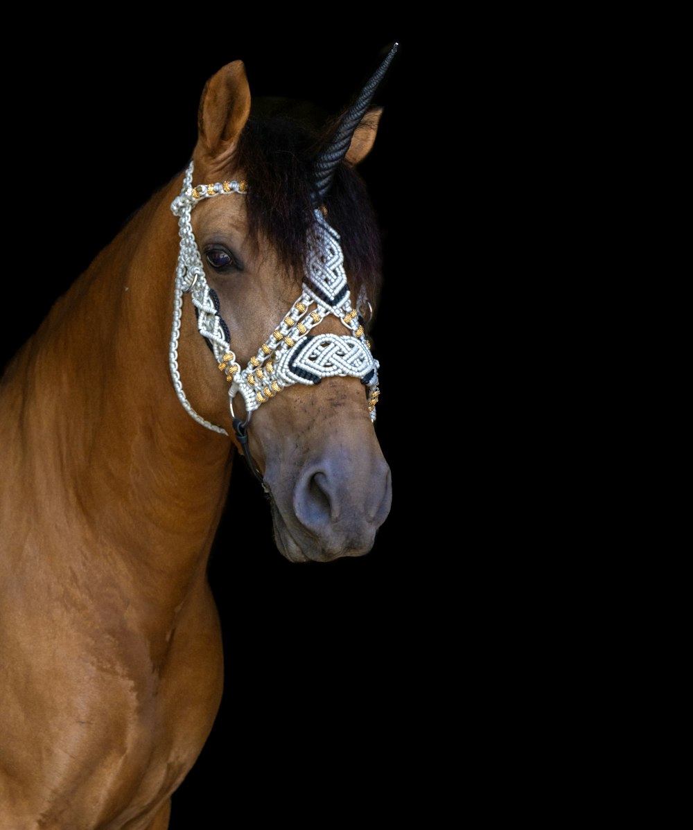 a brown horse with a white bridle on it's head