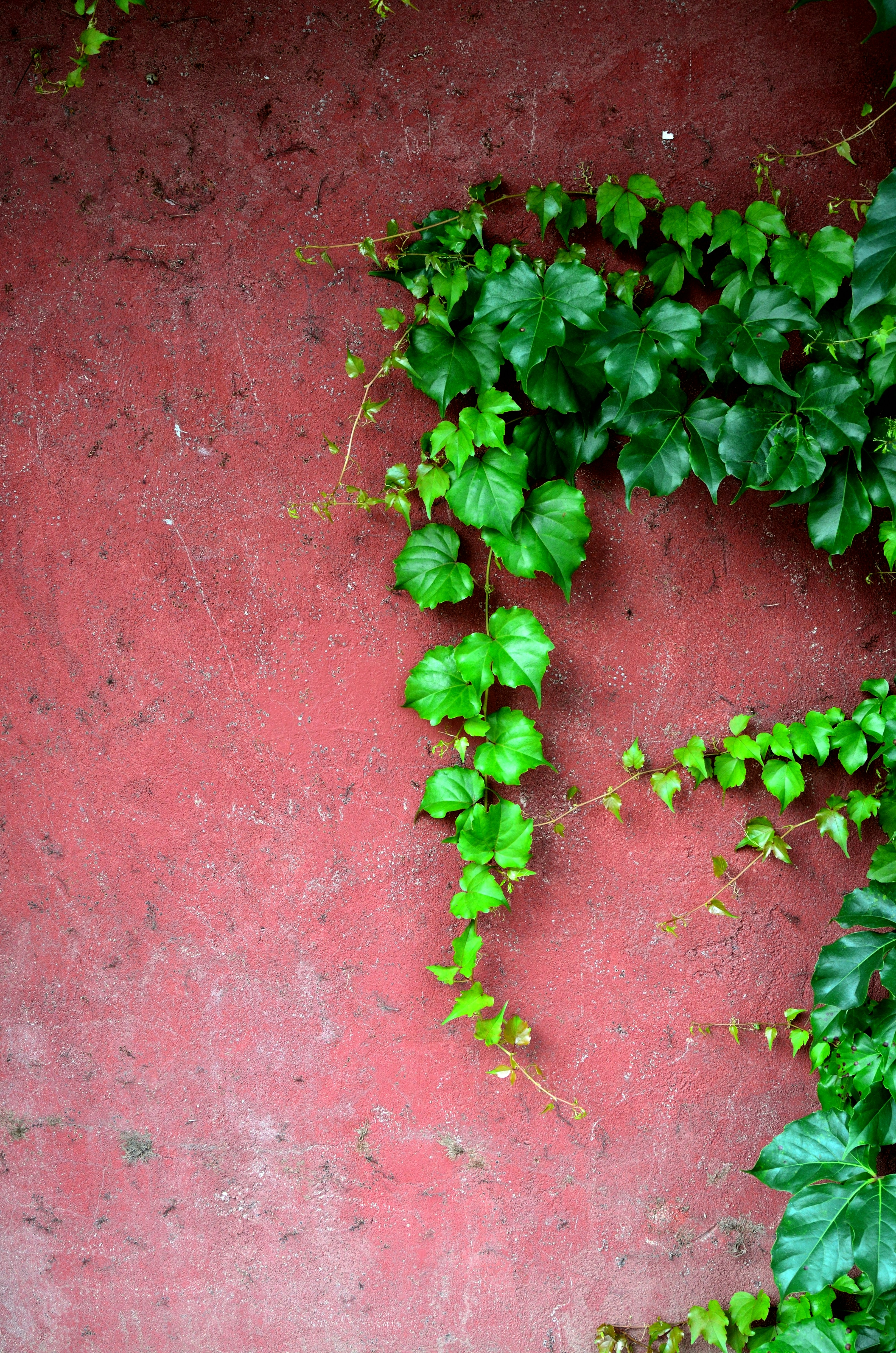 Photo by charleschina