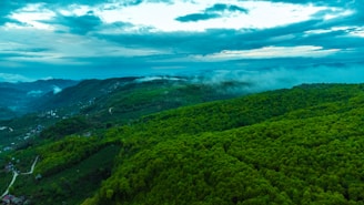 A picturesque view of lush greenery and bungalow plots at Paranjape Misty Greens.