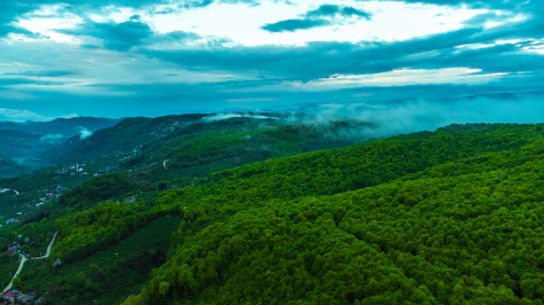 A serene morning view of lush green hills in Dang district with mist gently rolling over the forest canopy.