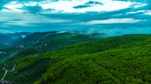 A panoramic view of lush green hills covered with dense forests under a vibrant blue sky with scattered clouds. Mist lightly veils parts of the hills, adding to the serene atmosphere. Small roads and houses are sparsely visible amidst the greenery.