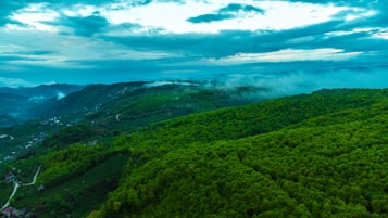 A panoramic view of lush green hills covered with dense forests under a vibrant blue sky with scattered clouds. Mist lightly veils parts of the hills, adding to the serene atmosphere. Small roads and houses are sparsely visible amidst the greenery.
