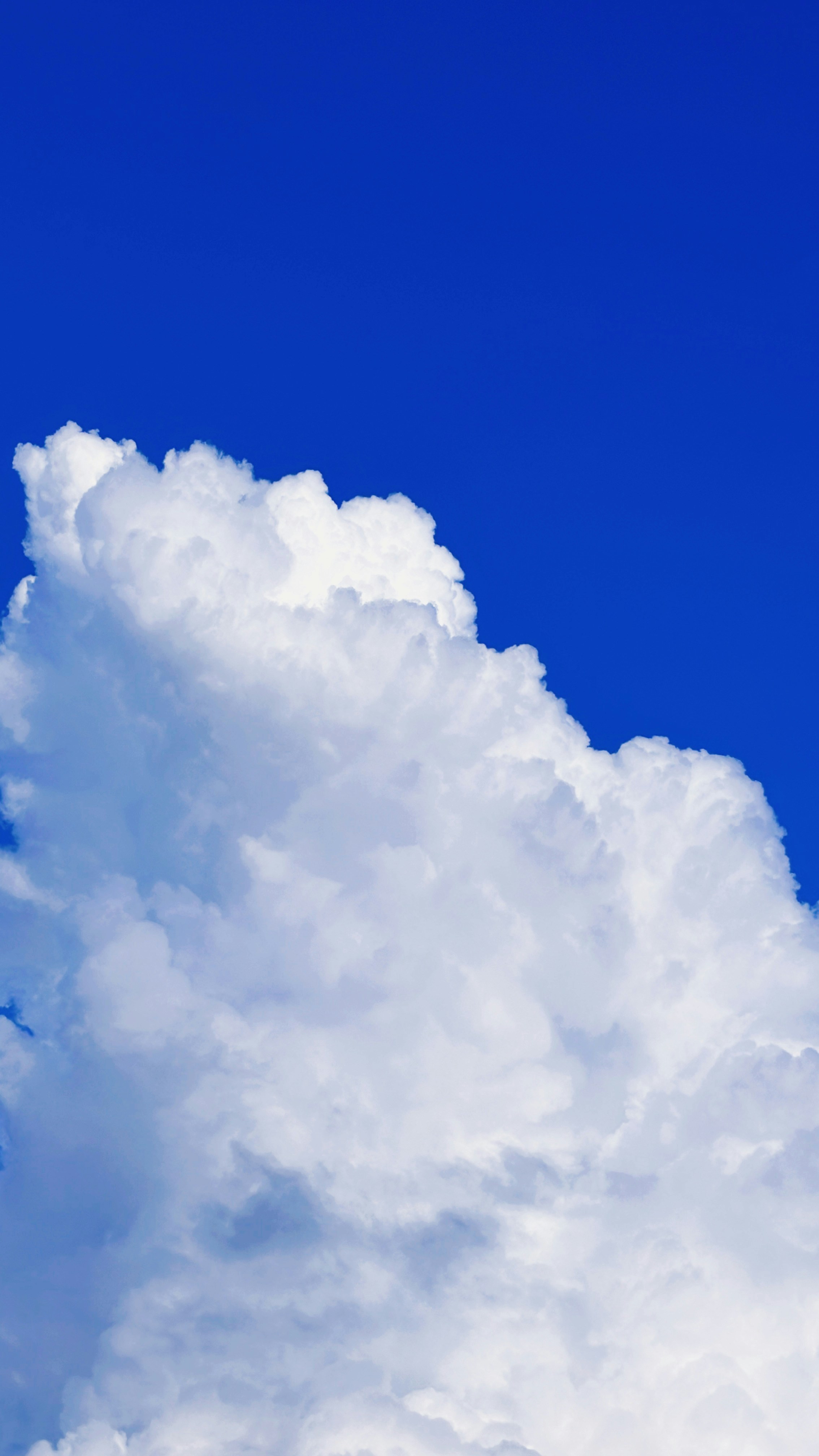 Photo by dickenslin76