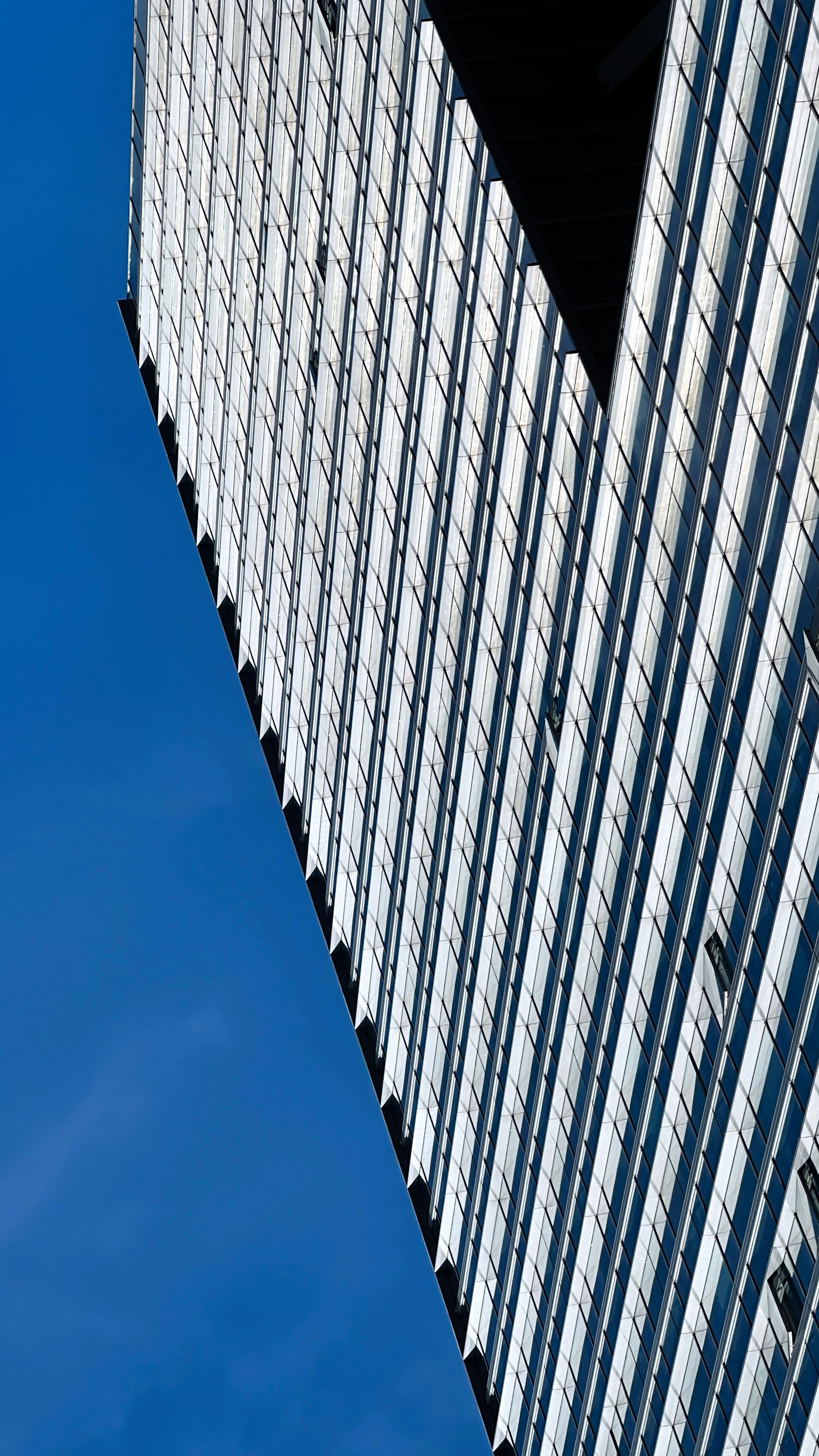 Photo by dickenslin76