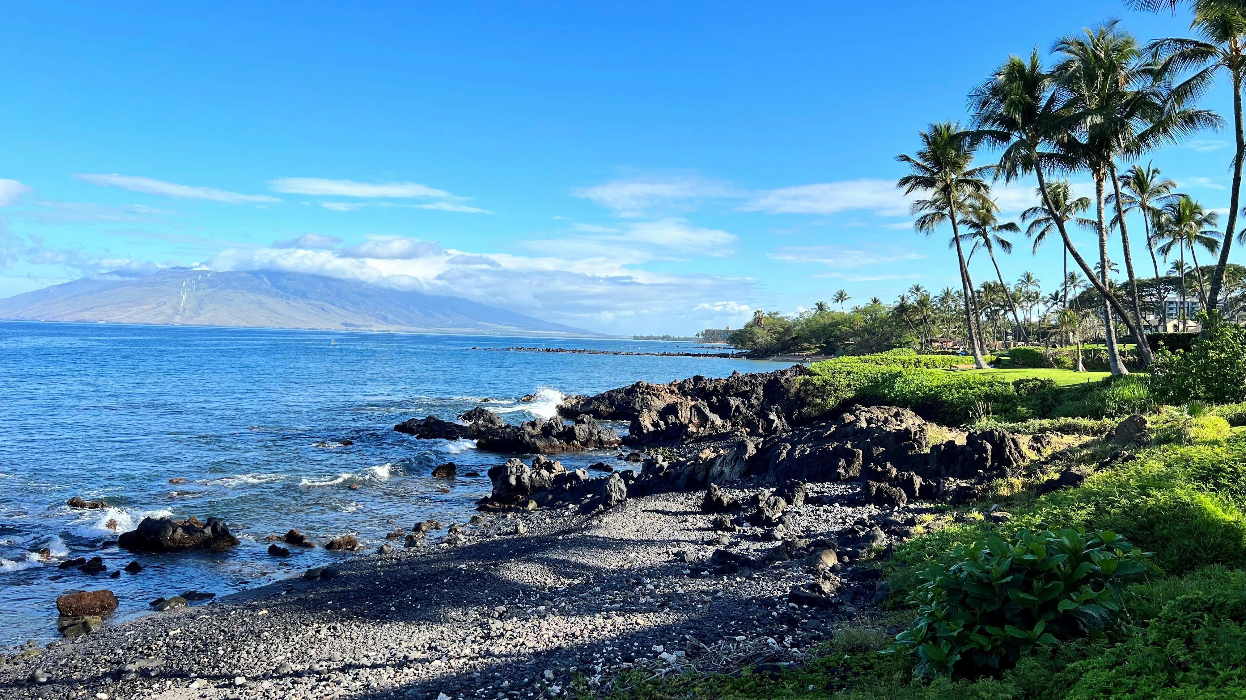 a view of a beach with palm trees and a mountain in the background, Wailea Beach Resort - Marriott, Maui - Hawaii