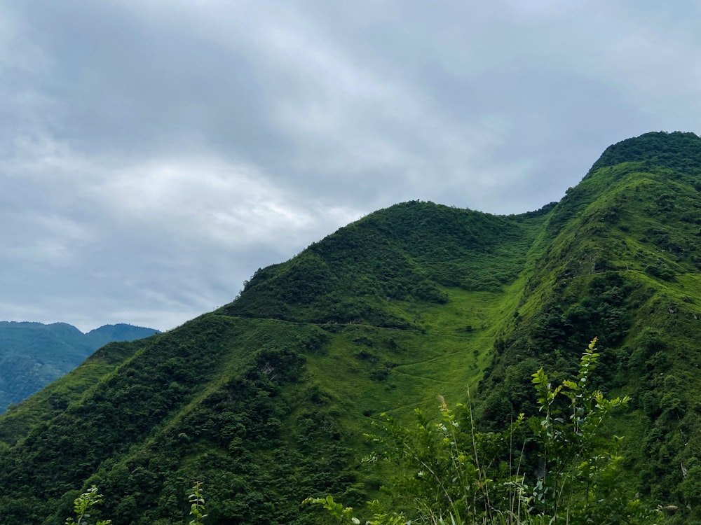 a large green mountain covered in lush vegetation