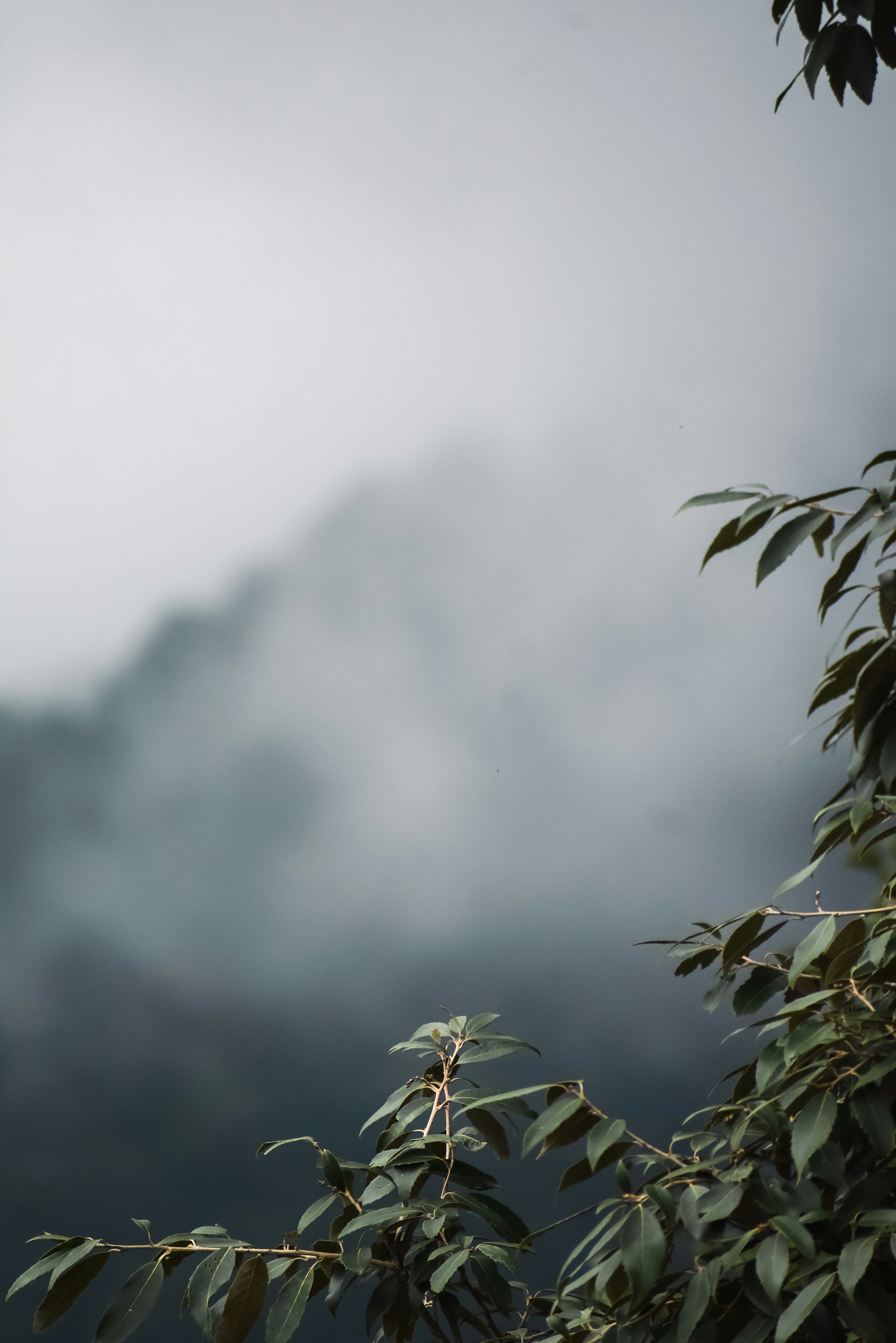 Photo by ahmadattari192