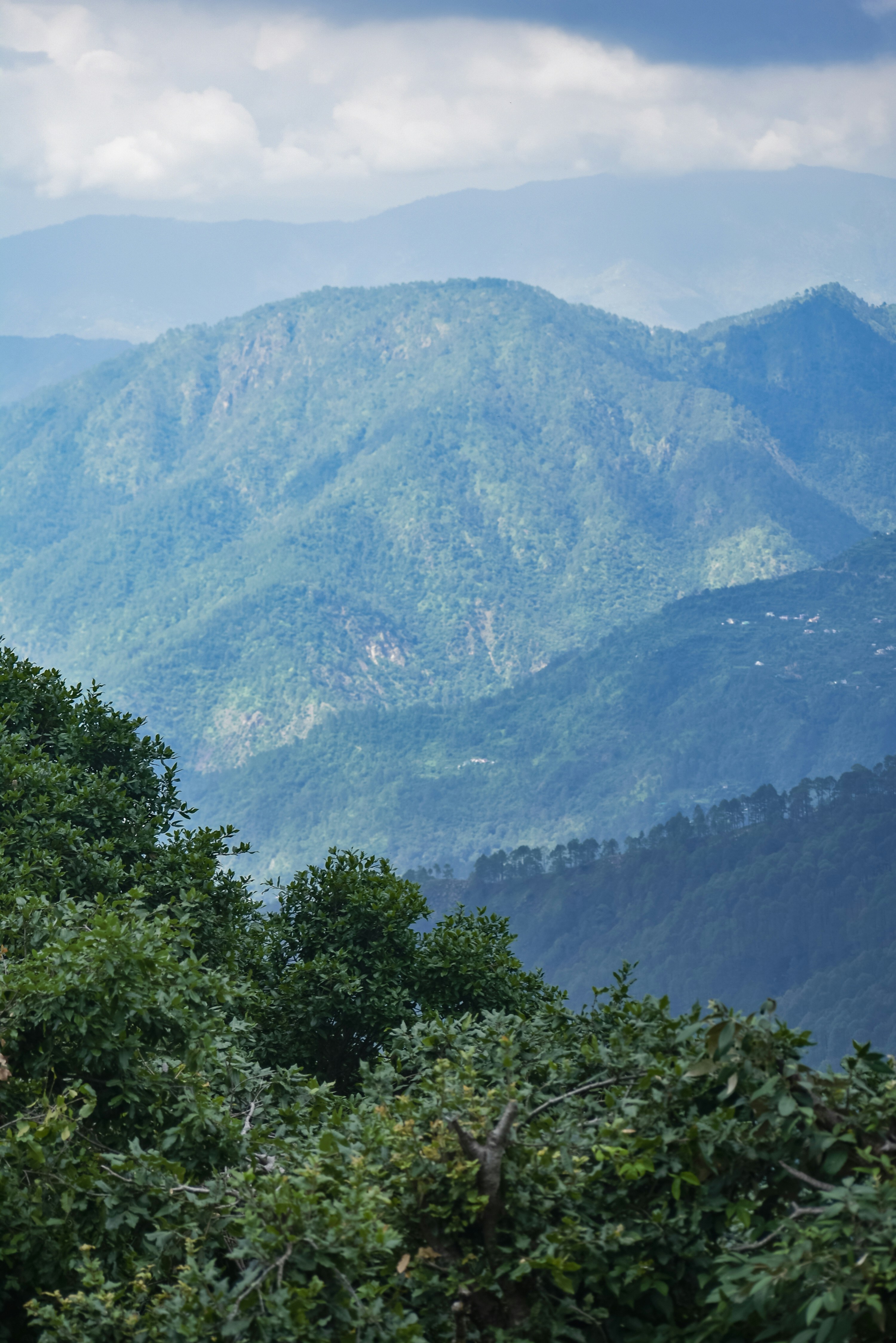 Photo by ahmadattari192