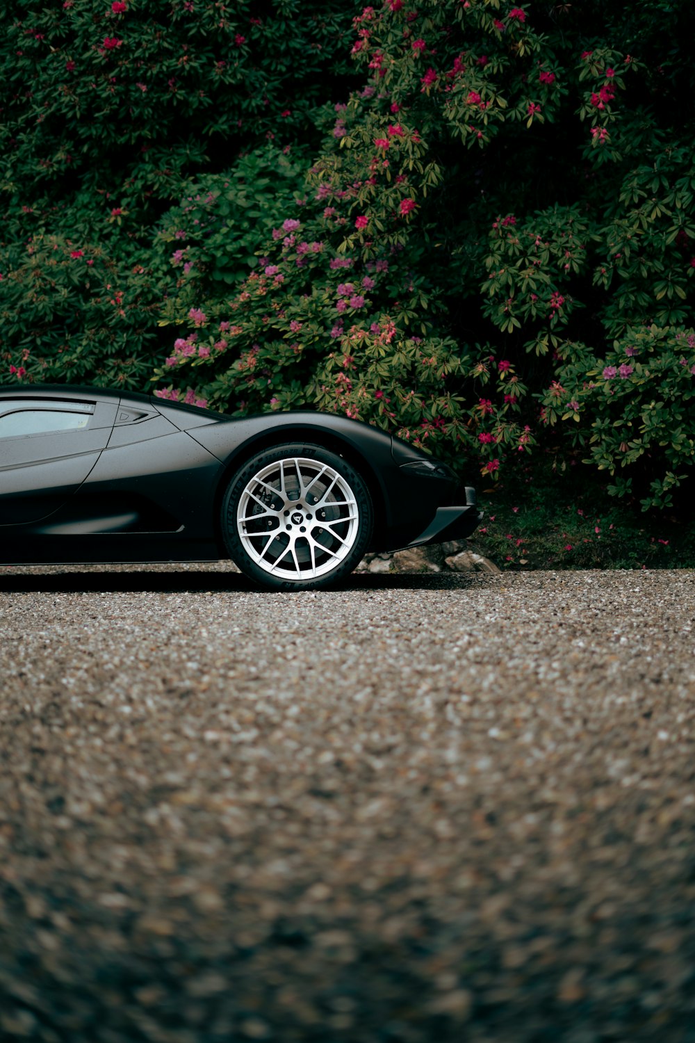 a black sports car parked in front of a bush