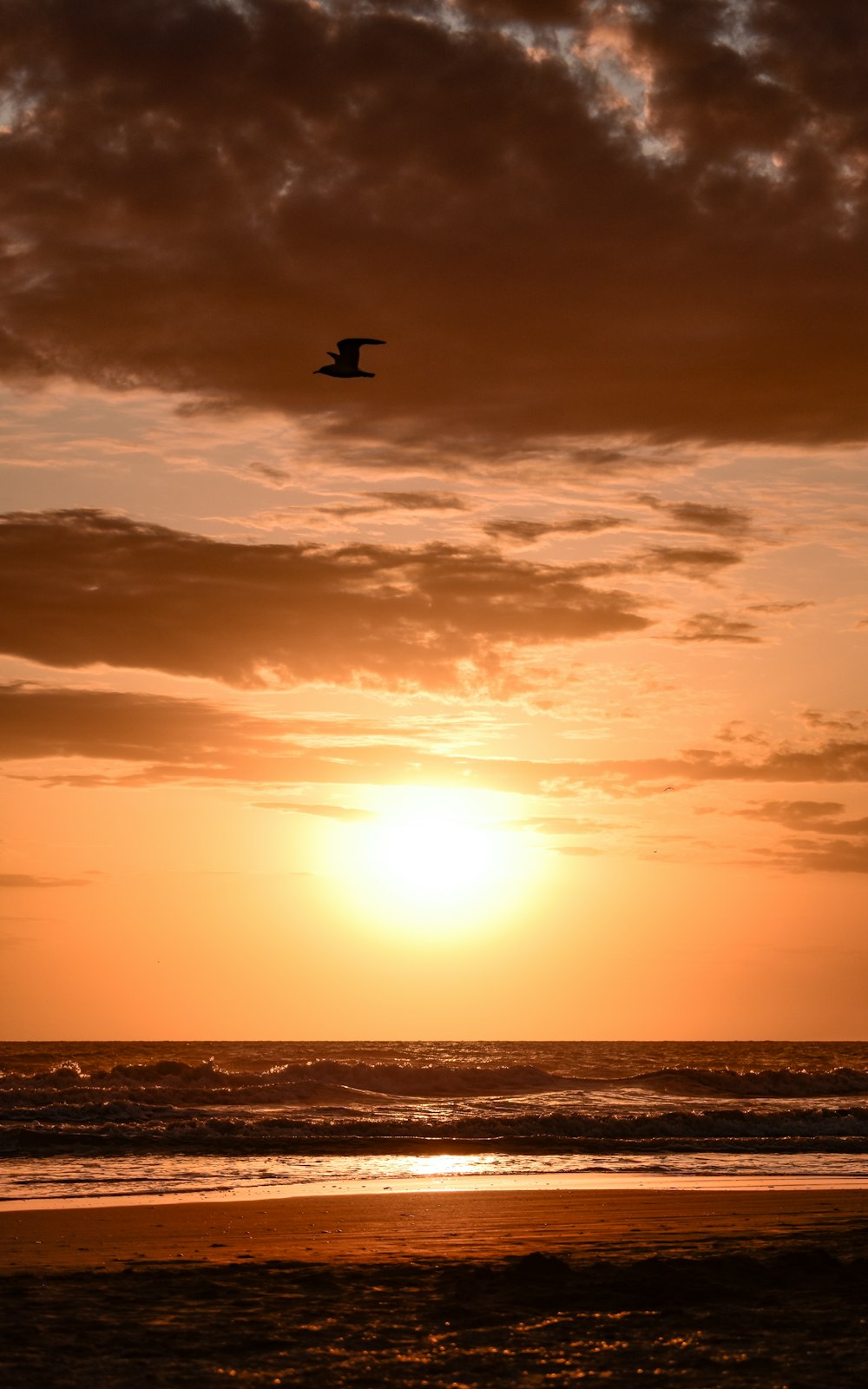 a bird flying over the ocean at sunset