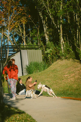 A joyful group of pets and their humans sharing a sunny outdoor adventure.