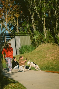 Several people are gathered outdoors on a sunny day. One person is standing with a leash, while others are sitting on the ground, interacting with two playful dogs. The background features a lush, wooded area and a building with a metal facade.