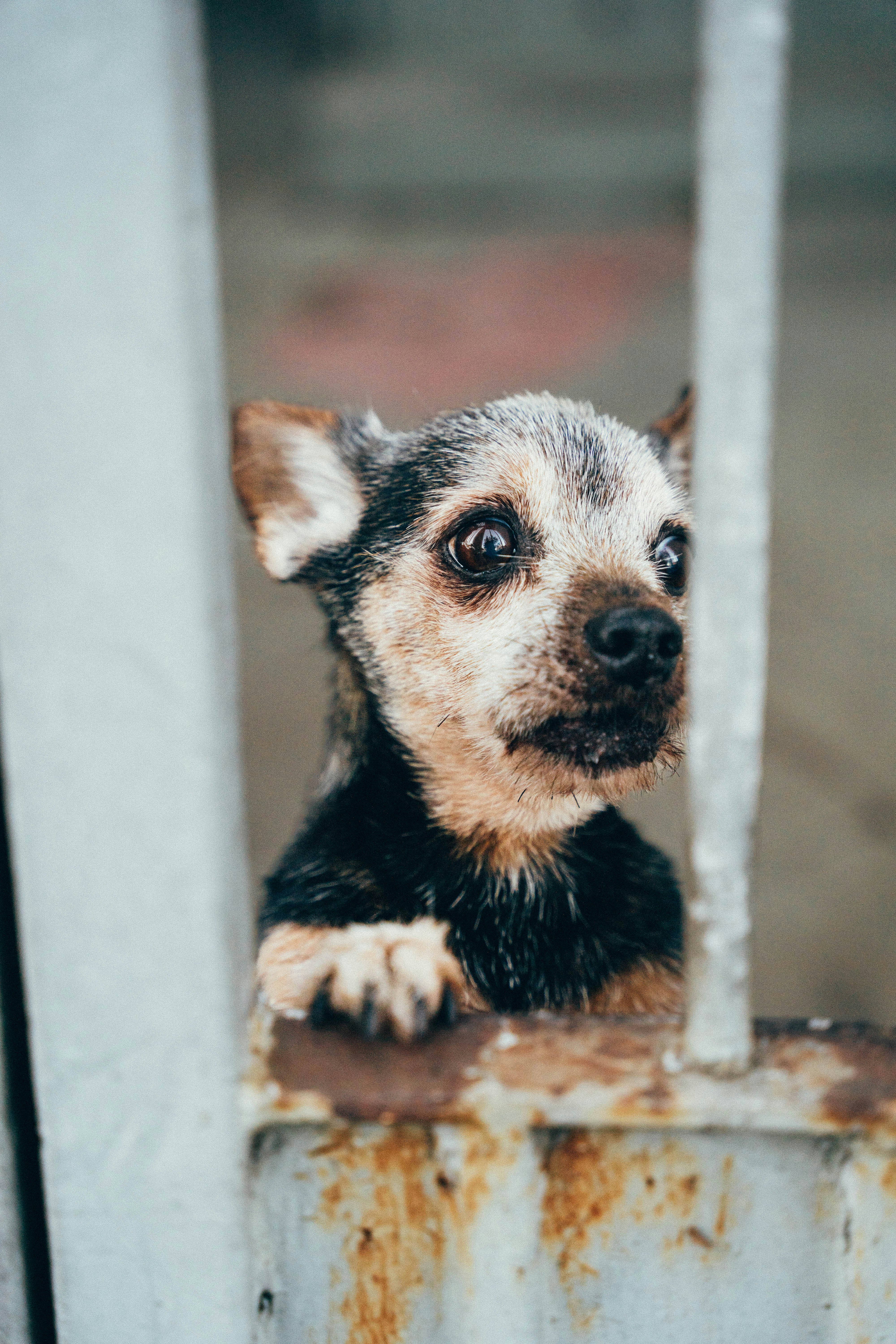 Photo by katalinsalles