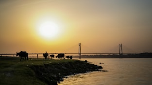 What Makes Mahakumbh the Most Awe-Inspiring Religious Event??