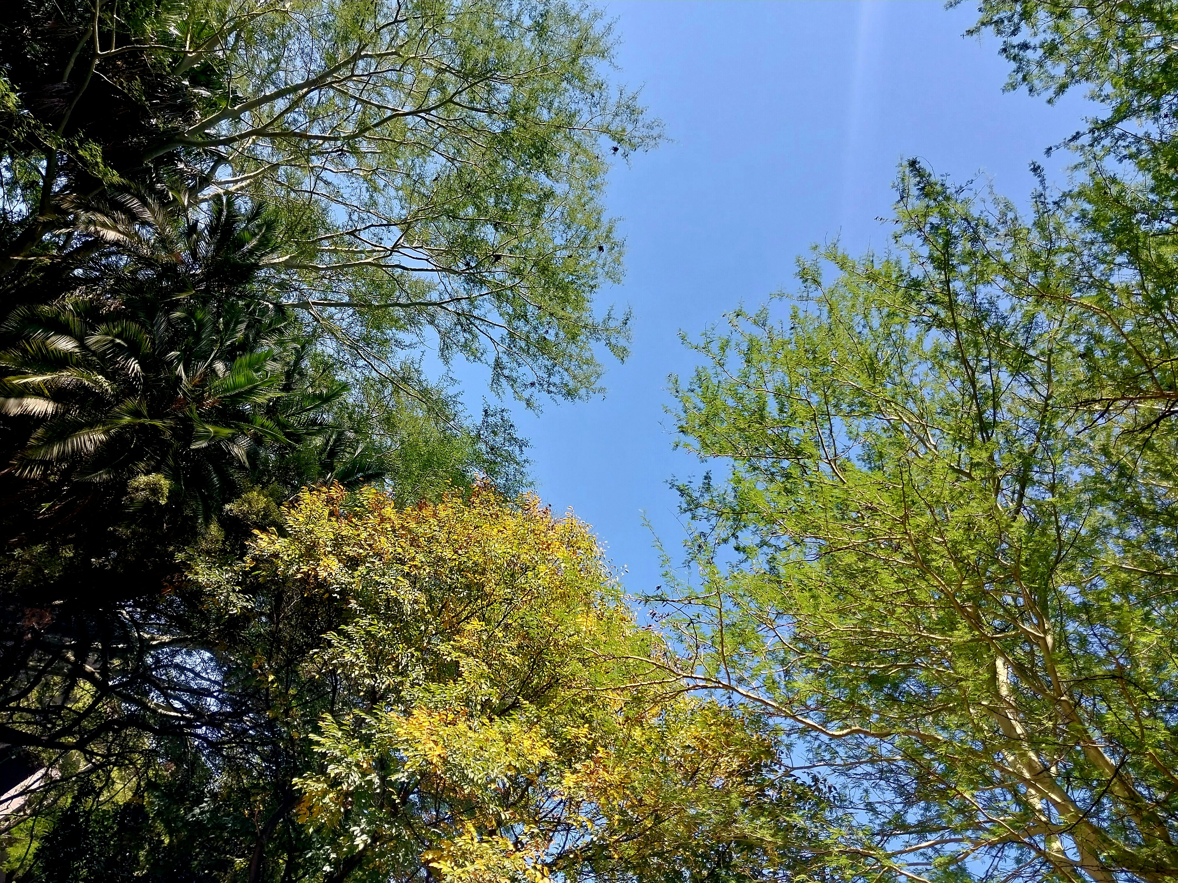 Photo by buhlemaliwa