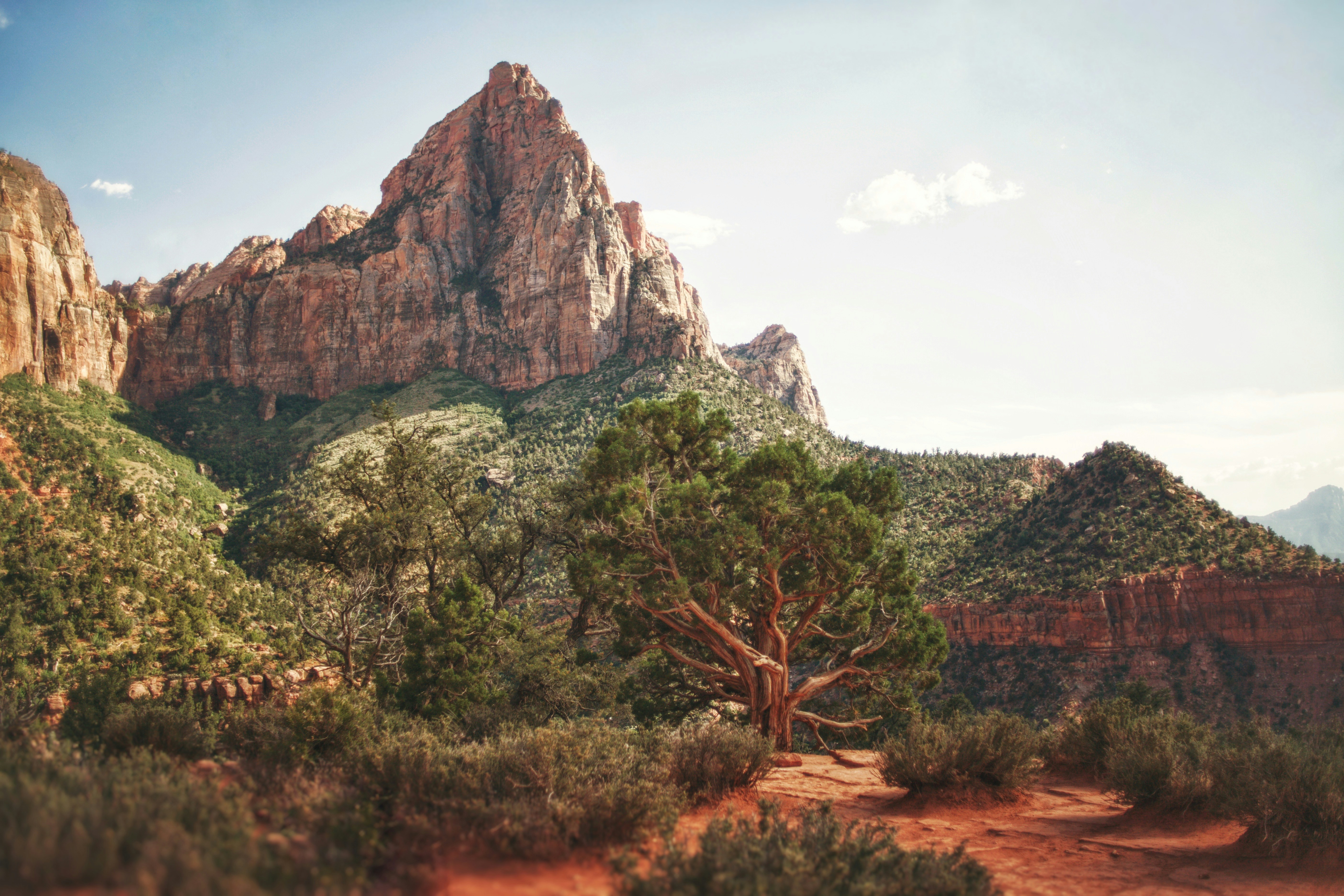 Photo by andycastillo