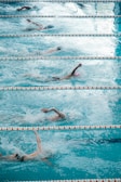 Several swimmers are competing in a pool, performing freestyle strokes as they create splashes in the water. The lanes are clearly marked with orange and white lane dividers, and the water appears vibrant and turquoise.