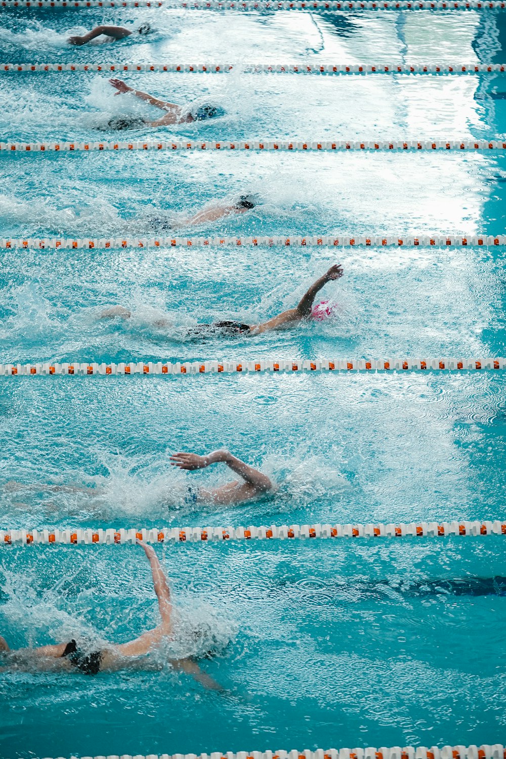 a group of people swimming in a pool