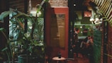A cozy, dimly-lit interior with lush green plants and a vintage atmosphere. People are gathered inside a room that features retro speakers and eclectic wall decor. Warm lighting adds to the intimate ambiance.