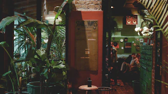 Cozy corner of El Cubanito bar with sky blue walls, green leafy plants, and warm yellow-orange lighting.