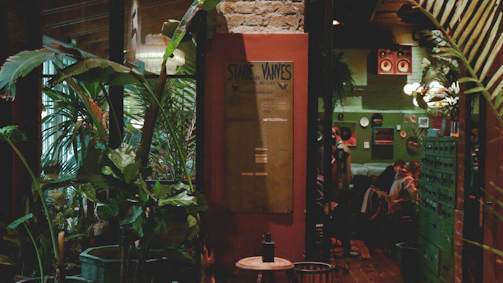 Cozy corner of El Cubanito bar with sky blue walls, green leafy plants, and warm yellow-orange lighting.