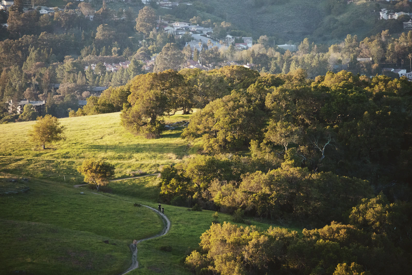 A view of Redwood City, CA
