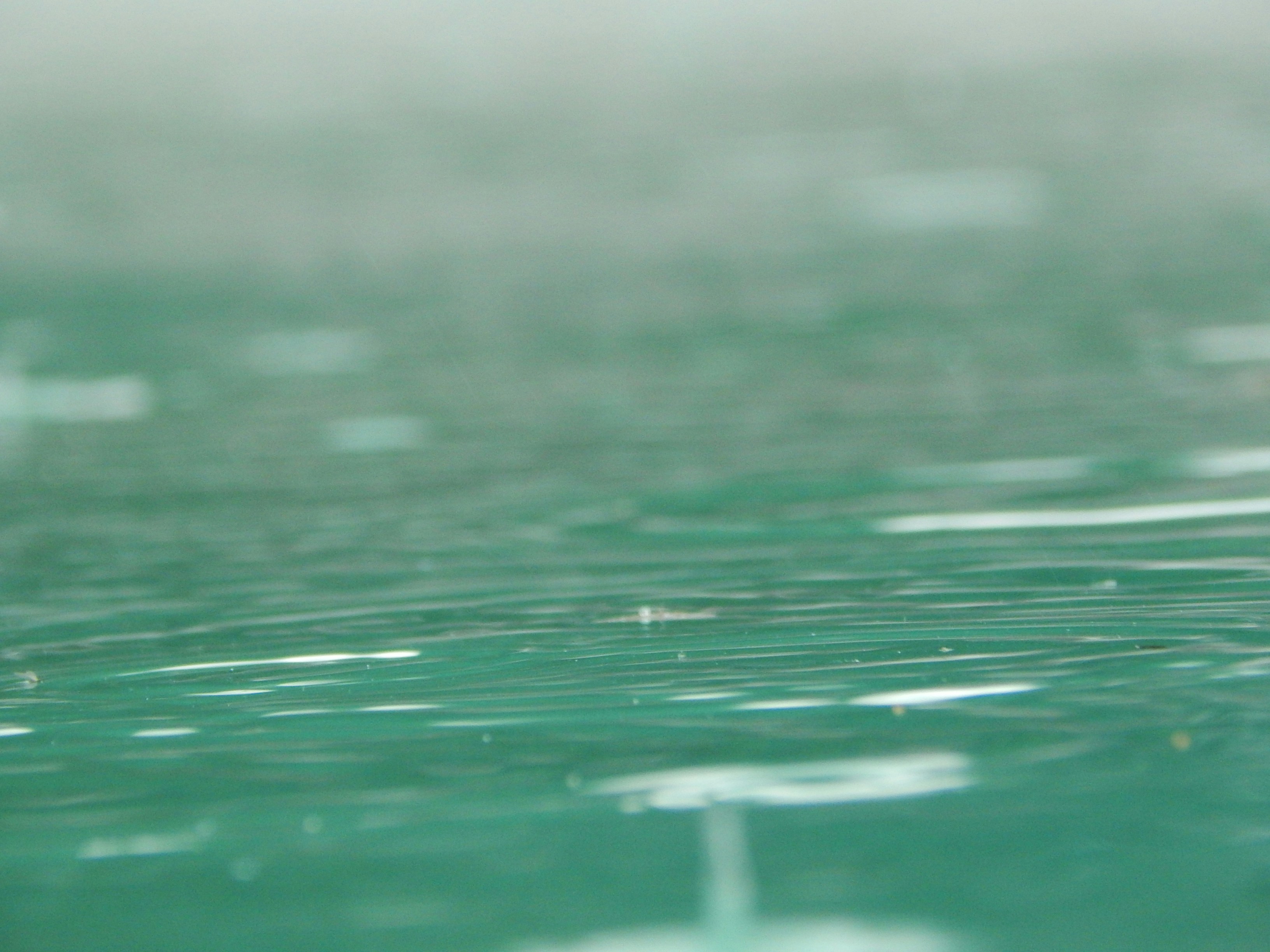 a blurry photo of a green surface with small drops of water