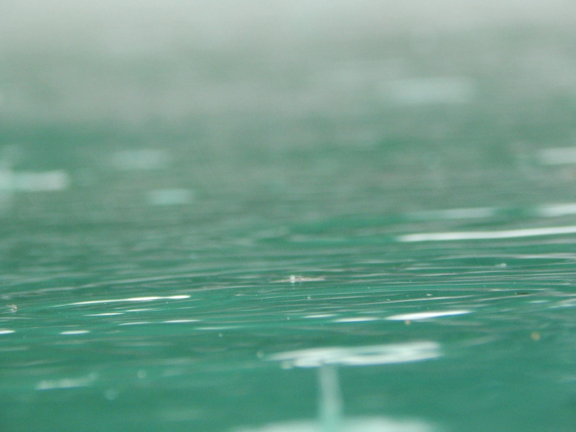 a blurry photo of a green surface with small drops of water